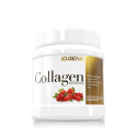 COLLAGEN PROFESSIONAL