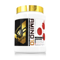 AMINO10