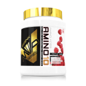 AMINO10