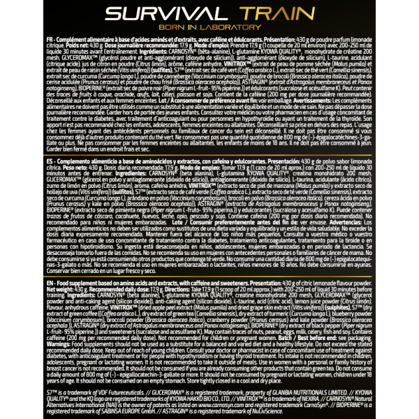 Survival Train