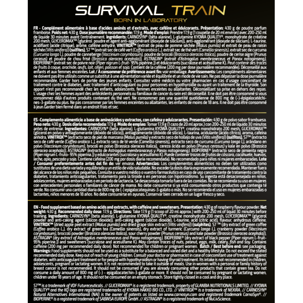 Survival Train