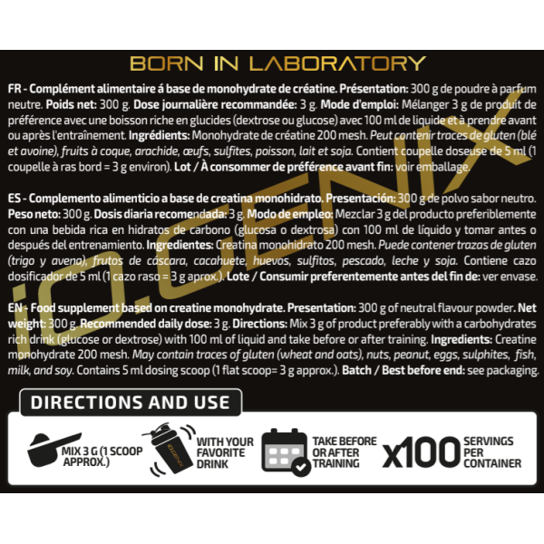 CREATINE MICRONIZED 300G